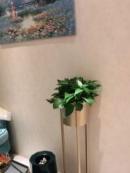 -薇兰专业脱毛连锁机构