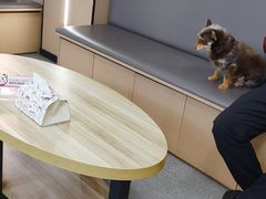 -瑞派伍一宠物医院·眼科·骨科·猫科转诊中心(马王堆院)