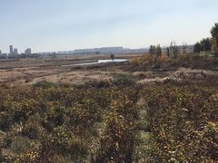 -赛汗塔拉风情园