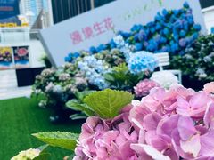 -HALO广场(梨园路店)