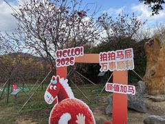 -天适樱花悠乐园