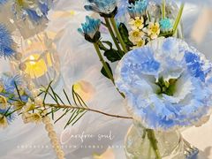-HUATA 'Holiday Plan 花榻
