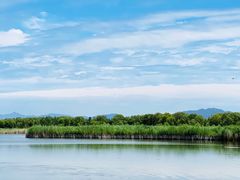 -野鸭湖国家湿地公园