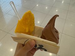 -野人先生Gelato(上海长宁龙之梦店)