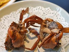 -鑫悦楼煎蟹·16年海鲜大排档