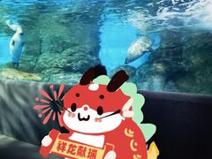 -上海海洋水族馆