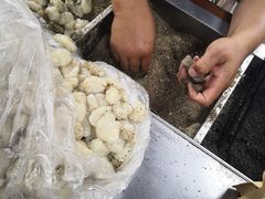 -叶氏麻糍(鼓浪屿店)