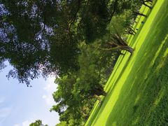 -东莞植物园