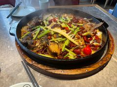 -老板恋上鱼(恒隆广场店)