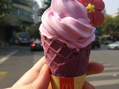 -麦当劳(新华路步步高店)