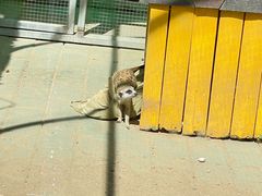 -北京市海淀外国语实验学校