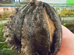 -岛中岛·海鲜大排档·万宁老字号(东澳店)