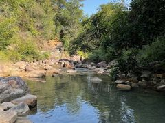 -广州白江湖森林公园