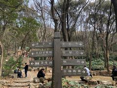-宝岩生态观光园