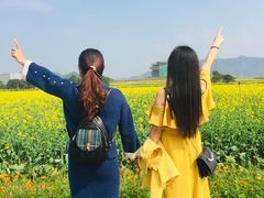 -光明小镇欢乐田园