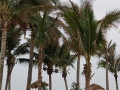 -玫瑰海岸文化旅游度假区