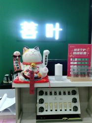 -菩叶脱发白发中心