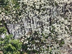 -外高桥保税区南(地铁站)