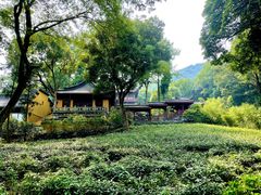 -杭州君悦酒店·湖滨28中餐厅