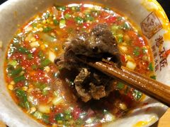 -潘小辣鲜肉老火锅