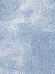 -Sugar苏格婚礼策划工作室