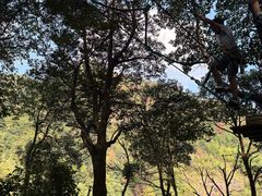 -衢州大荫山丛林飞越探险乐园