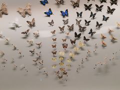 -香港科学馆