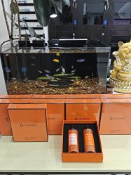 -FINE HAIR 烫染专业设计