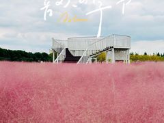 -嘉北郊野公园