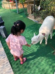 -萌宠亲子动物乐园(槐房万达店)