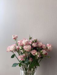 -慢脚印孕产中心(园区国金店)