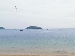 -傅家庄公园