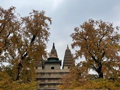 -北京石刻艺术博物馆(五塔寺)