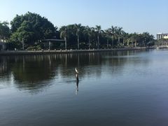 -白鹭洲公园