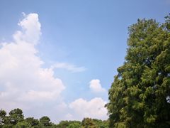 -东湖落雁景区