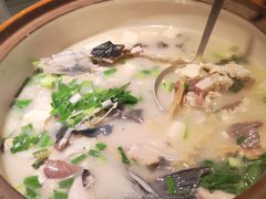 -姜君·千岛湖鱼头馆(浦东大道店)