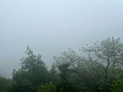 -云碧峰国家森林公园