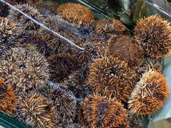 -蟹之国·精品蟹料理(极地店)