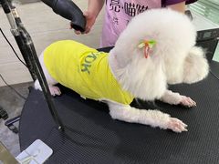 -暖阳宠物医院·犬猫康复中心·骨科