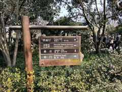 -西湖游船