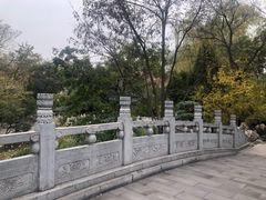 -莲湖公园