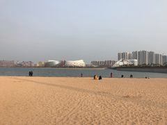 -星光岛