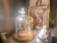-雪灵魔法世界SHELLY’S TAROT(大良桂畔里店)