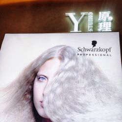 -Y-STUDIO原理