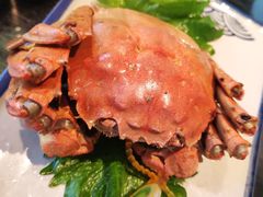 -苏帮袁Sue Cuisine(将台店)