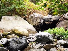 -云岫谷游猎自然风景区