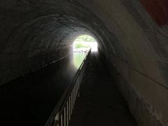 -白水寺森林公园