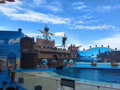 -海合安青岛极地海洋公园