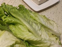 -九寨沟特色牦牛肉汤锅