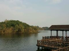 -上海市保健医疗中心(华东疗养院)